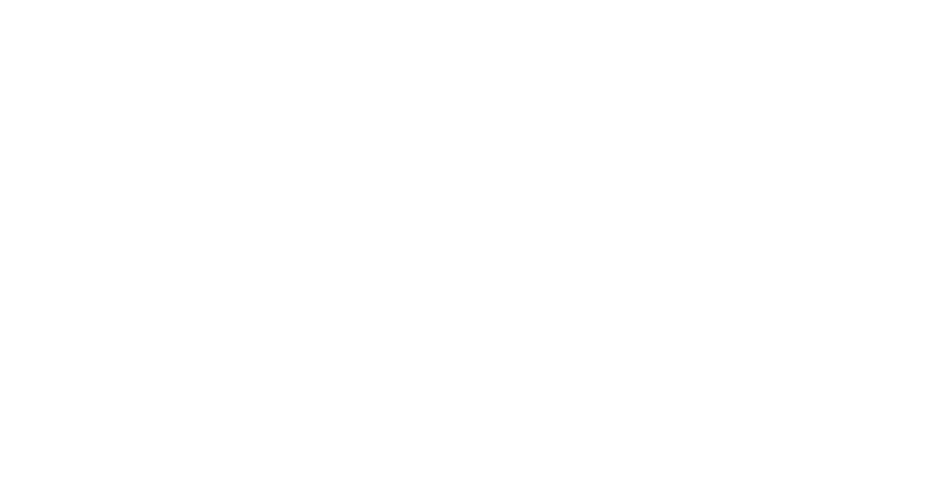 WISE logo